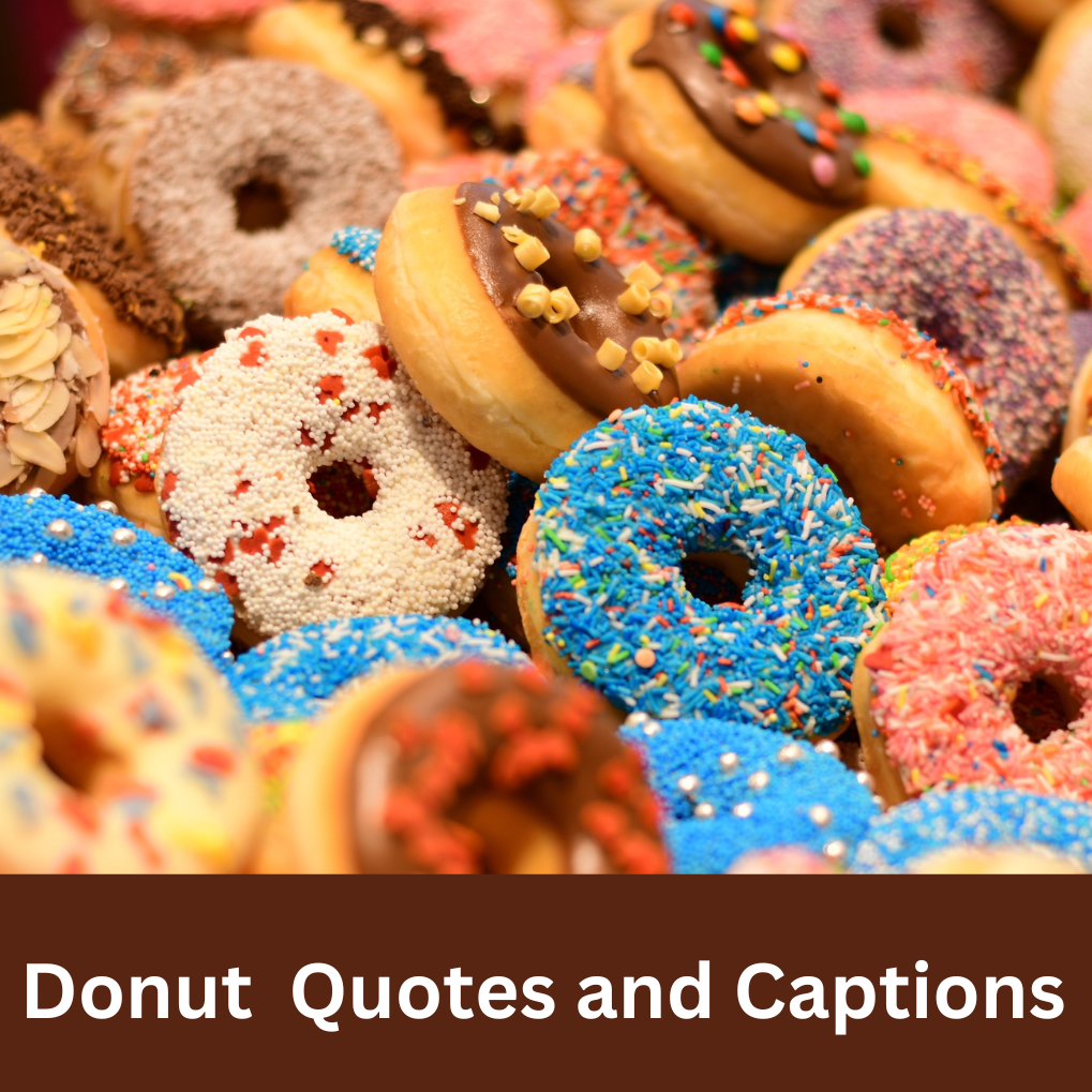 Donut Quotes Puns Captions