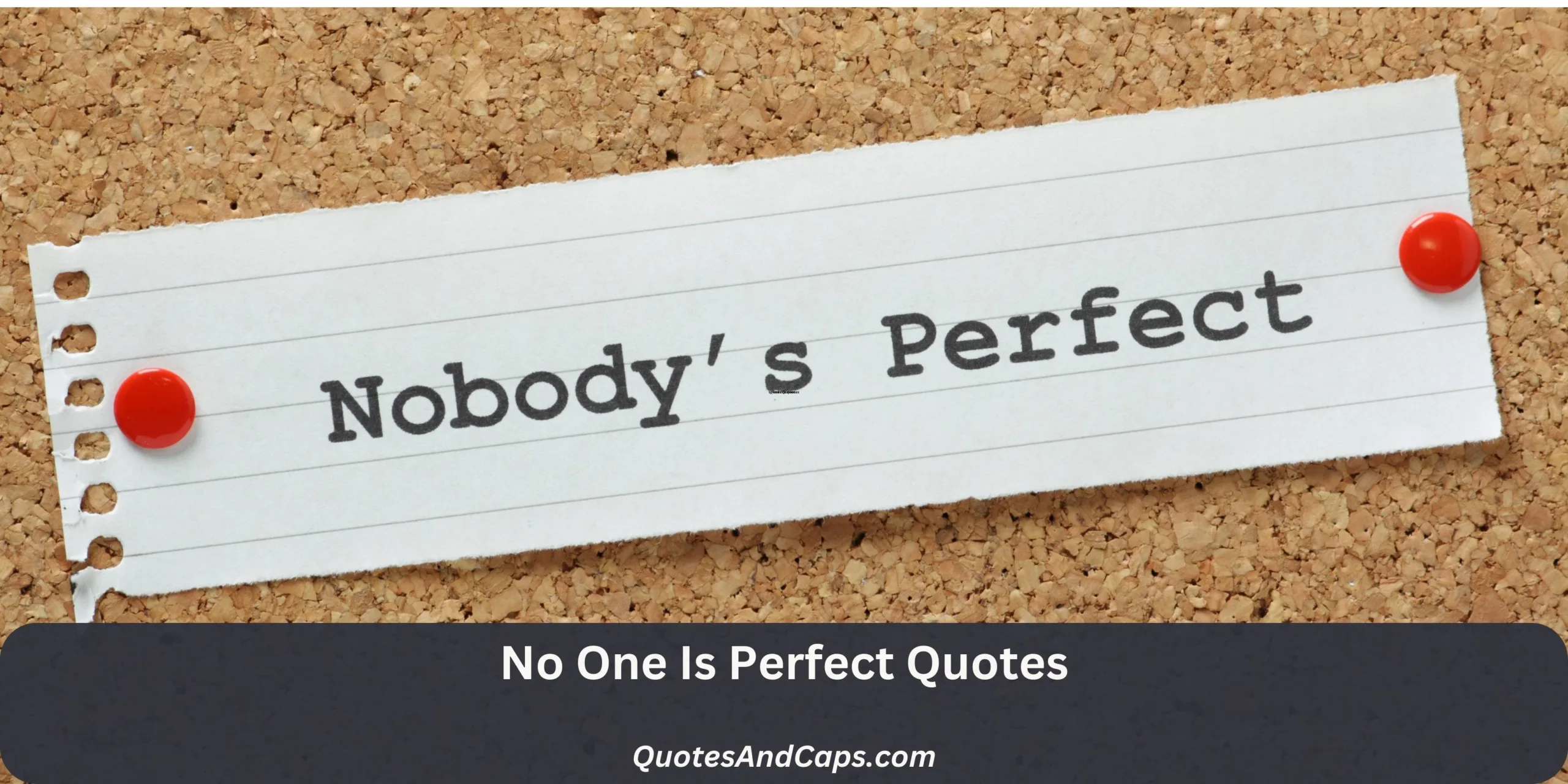 No One Is Perfect Quotes