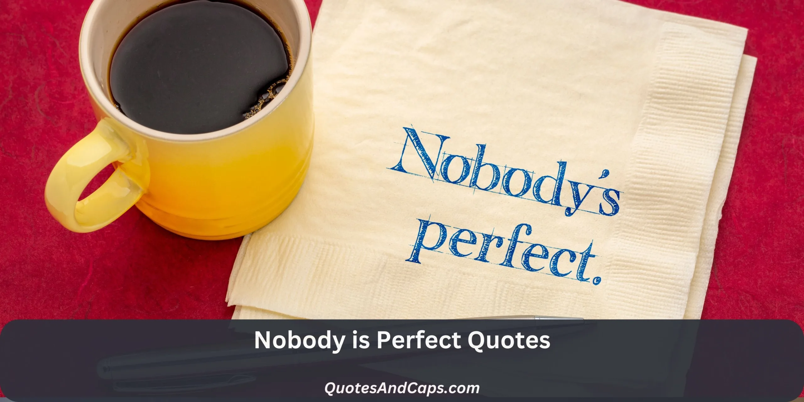 Nobody Is Perfect Quotes