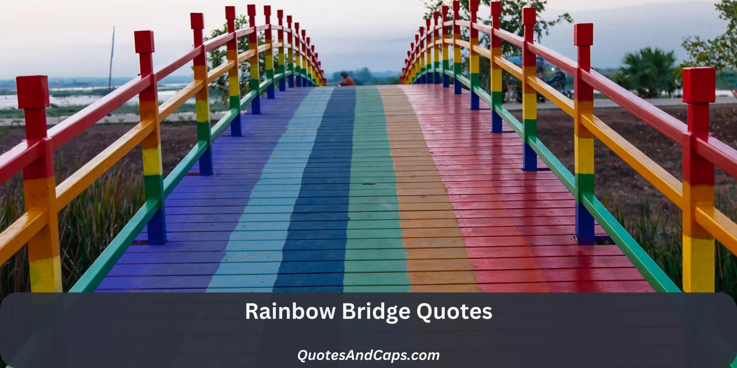 Rainbow Bridge Quotes
