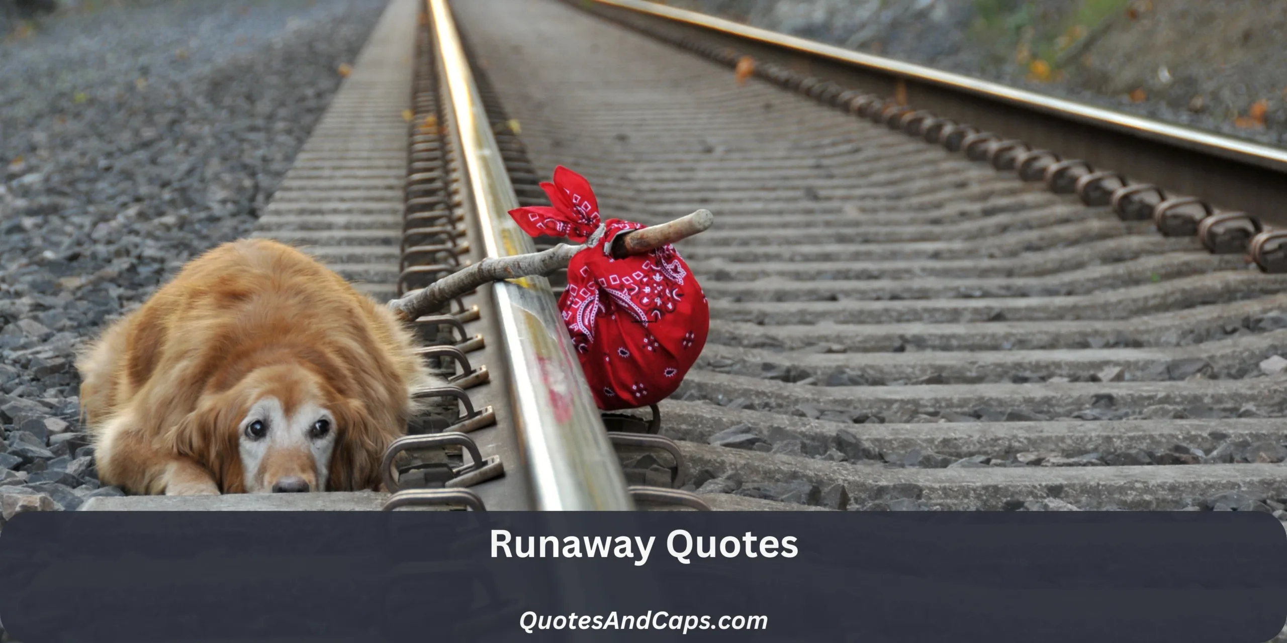 Runaway Quotes