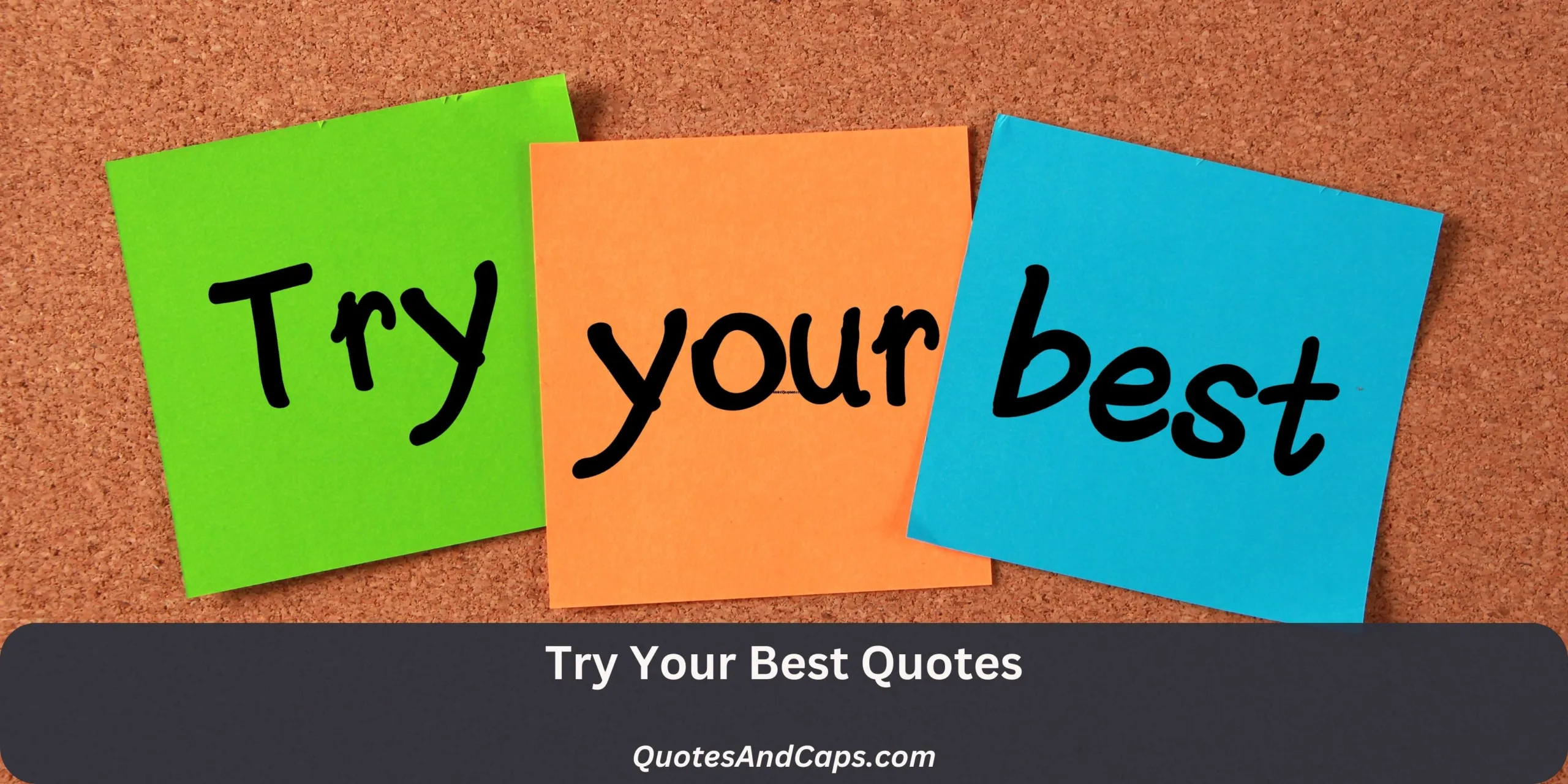 Try Your Best Quotes