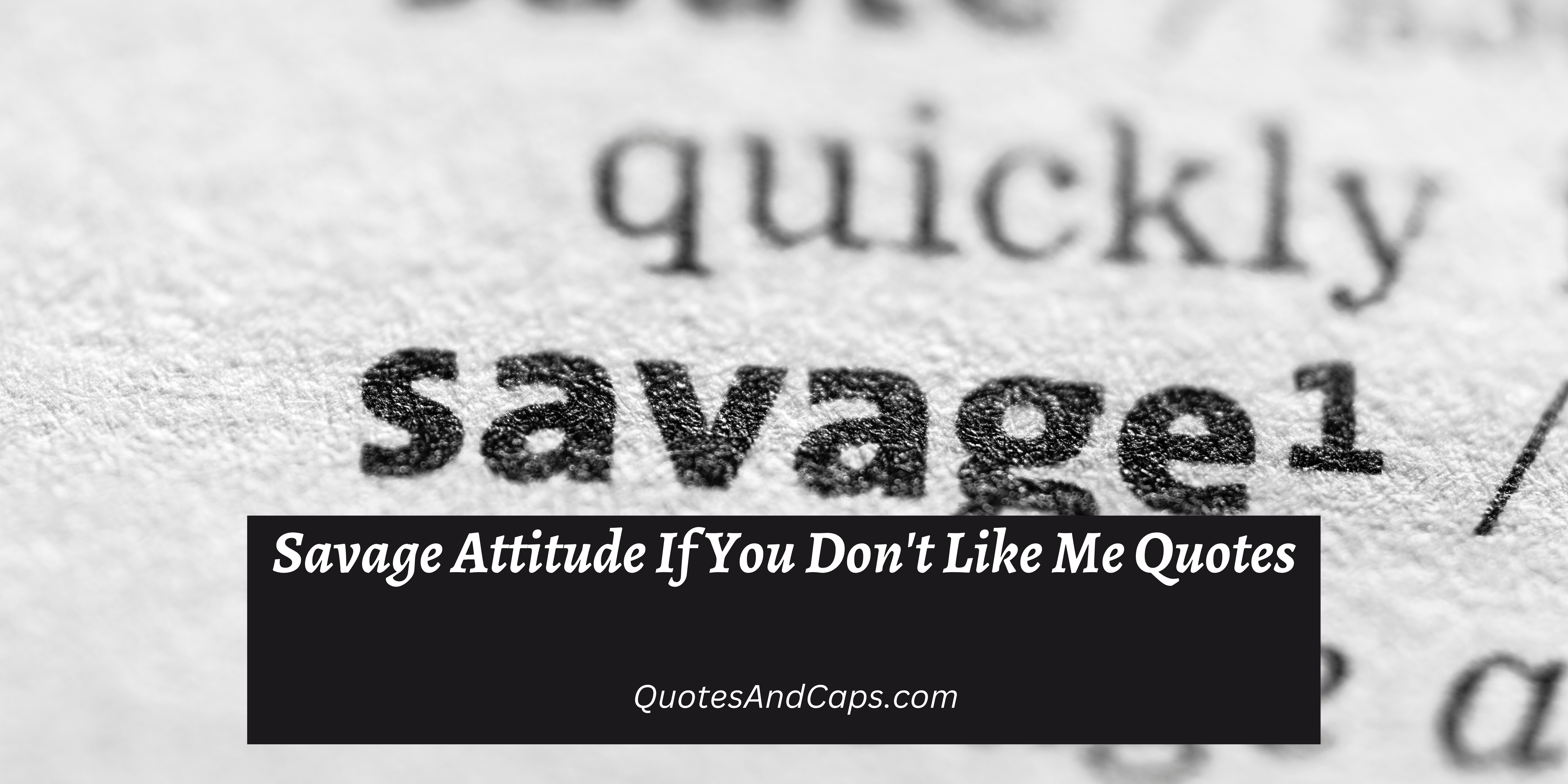 Savage Attitude If You Don’t Like Me Quotes