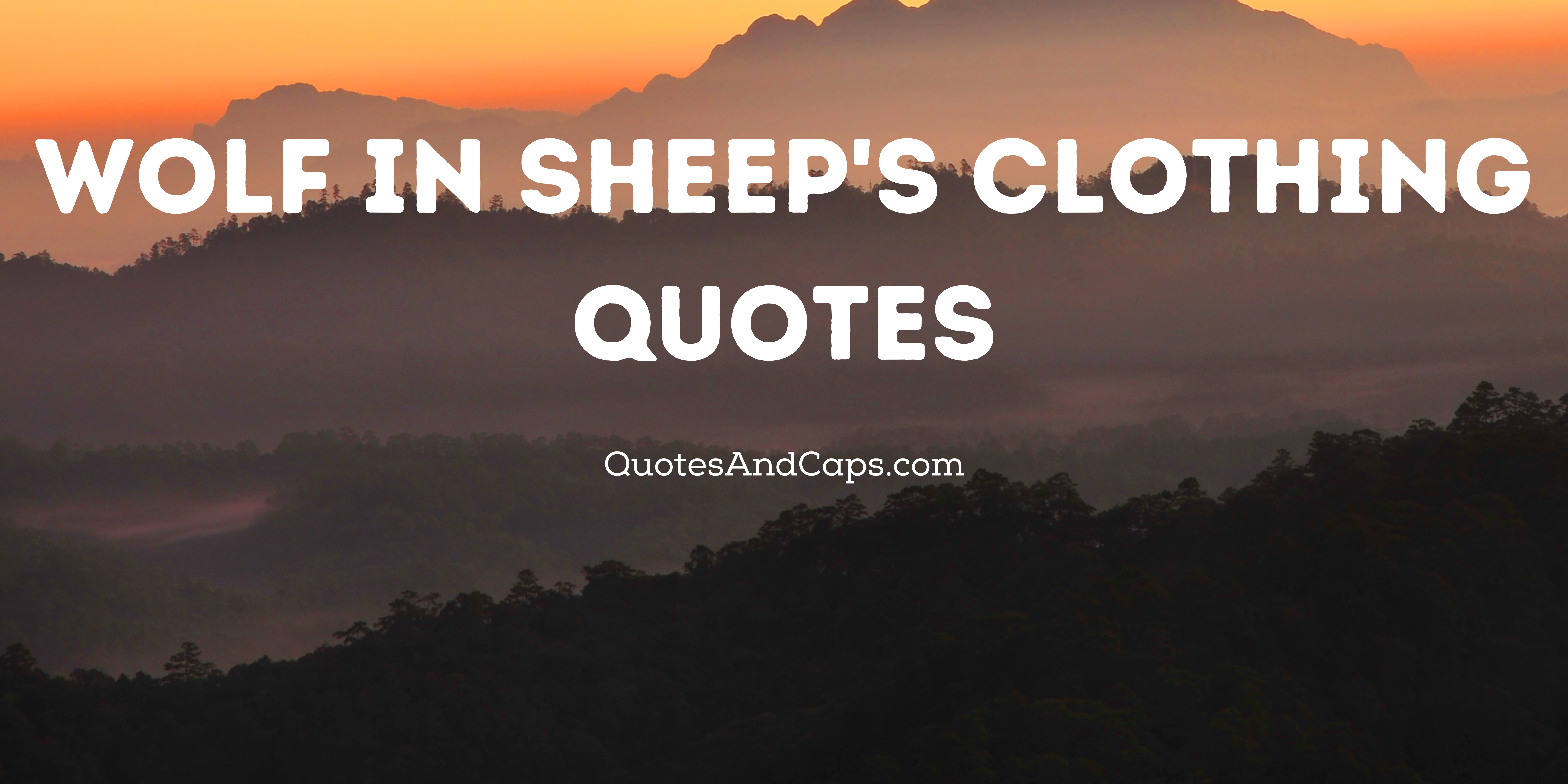 Wolf in Sheep’s Clothing Quotes