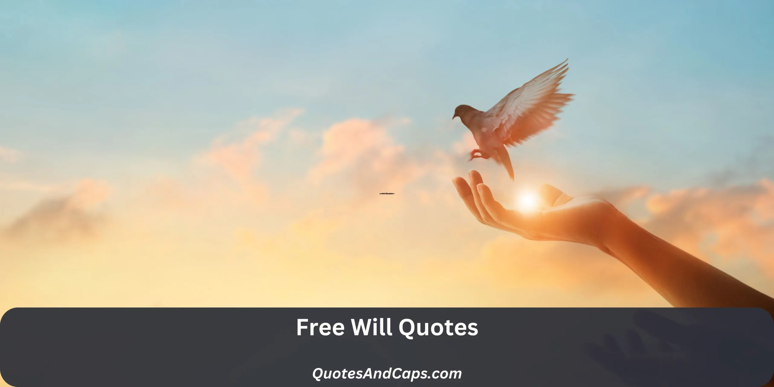 Free Will Quotes